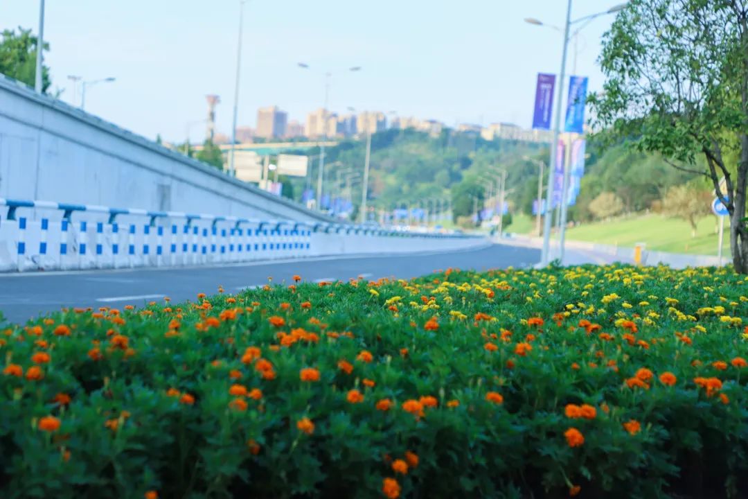 640 (4).jpg 640 (4).jpg