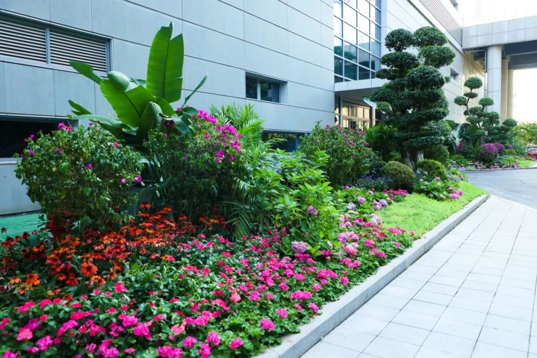 640 (2).jpg 640 (2).jpg